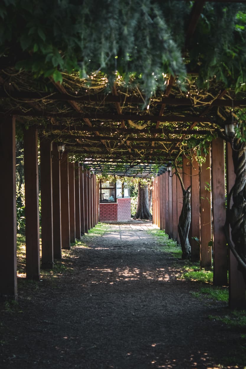Tout savoir sur la pergola solaire, son fonctionnement et ses avantages