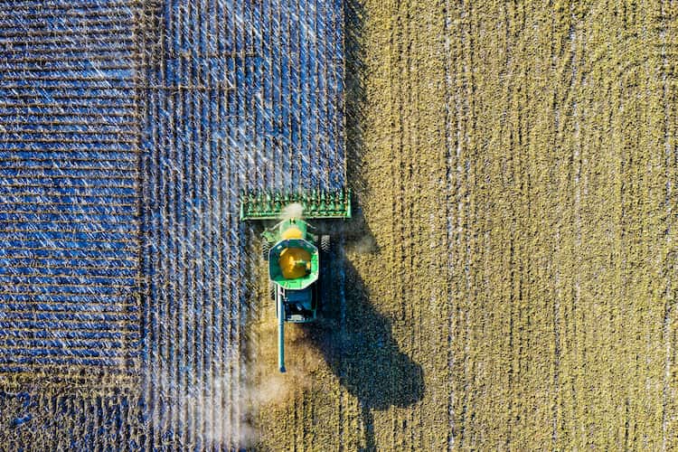 Qu’est-ce qu’une ferme solaire et qui peut se lancer dans un tel projet ?